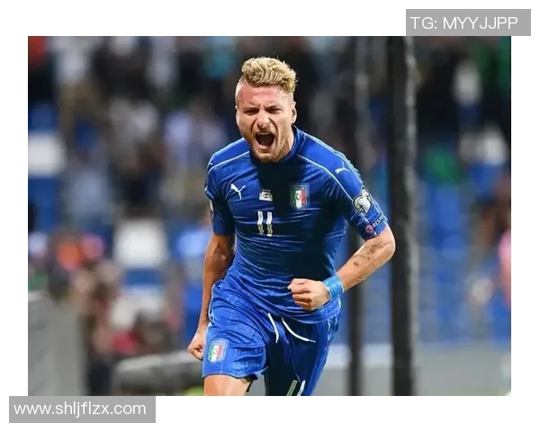 弗利特伍德与温布尔登的激烈对决展现足球魅力与团队精神