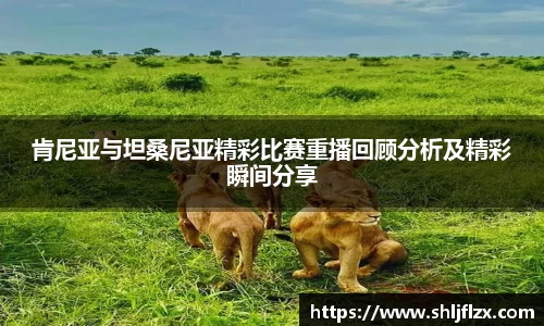 九游体育官网